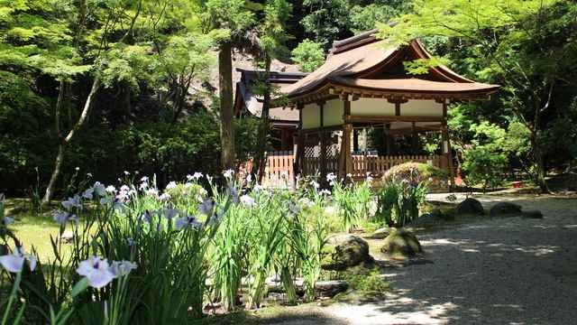 パワースポット,上賀茂神社