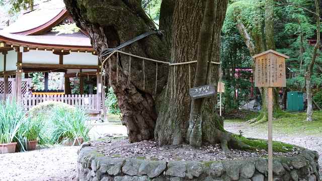 パワースポット,上賀茂神社