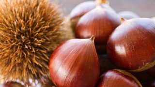 夢占い 漫画の夢に関する13の意味とは Spibre