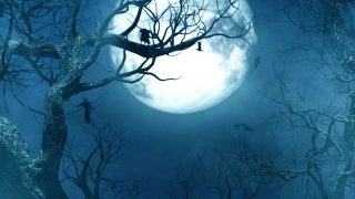 夢占い ワンピースの夢に関する17の意味とは Spibre