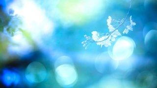 夢占い もうひとりの自分 ドッペルゲンガー に関する16の意味とは Spibre