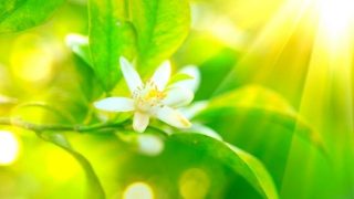 開運体質になれる 心に響く名言集 前向きになれるメッセージとは Spibre