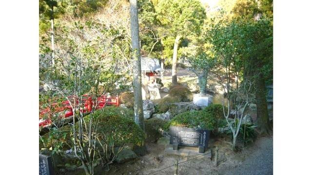 四国3番札所,金泉寺,沙羅の木