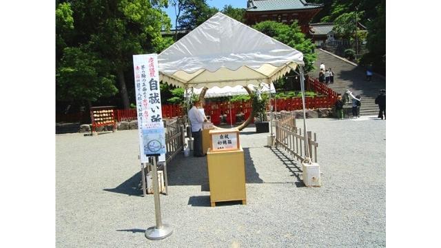 鶴岡八幡宮,茅の輪くぐり
