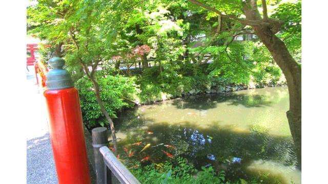 鶴岡八幡宮,柳原神池