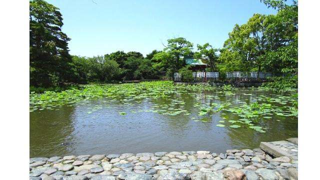 鶴岡八幡宮,源氏池