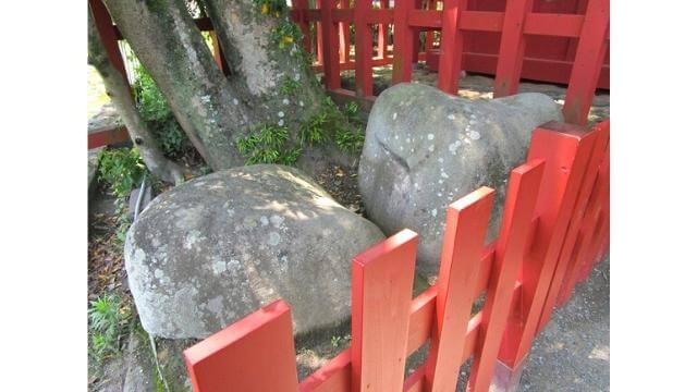 鶴岡八幡宮,政子石