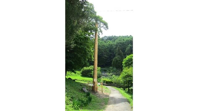 諏訪大社,上社,一之御柱