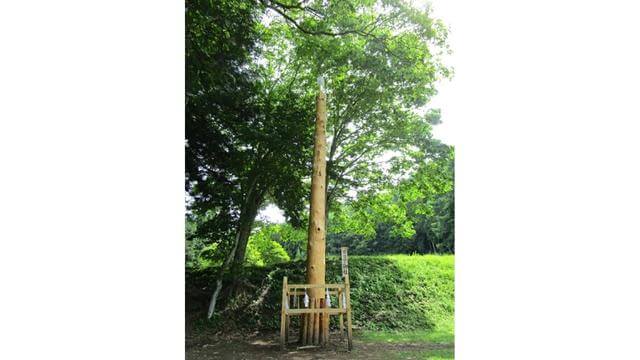 諏訪大社,上社,四之御柱