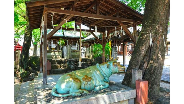 東海地方,健康運,高牟神社