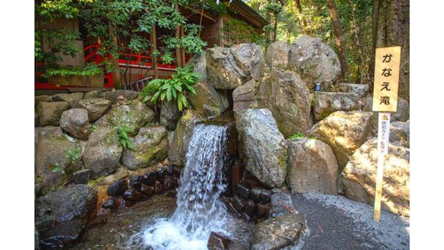 東海地方,健康運,椿大神社