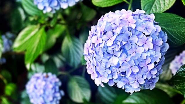 6月,スピリチュアル