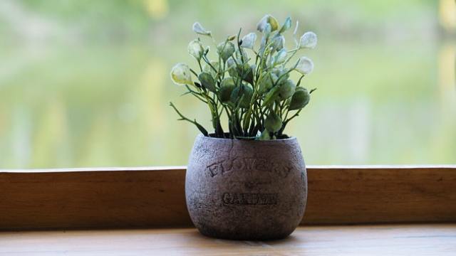 自然との対話,スピリチュアル