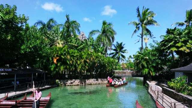 幸運,パスワード