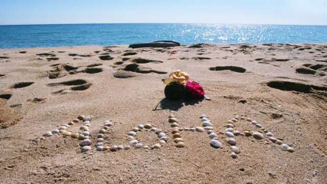 幸運,パスワード