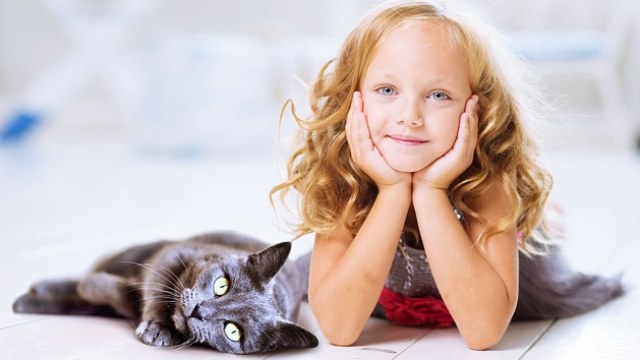 動物に好かれる人の特徴とスピリチュアルな意味