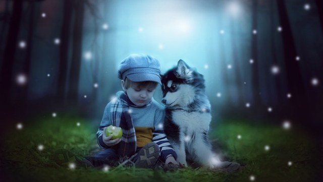 動物に好かれる人の特徴とスピリチュアルな意味