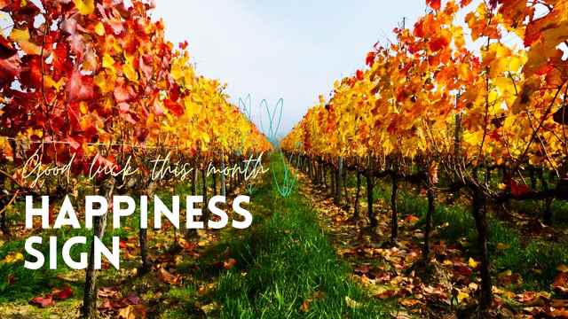 2025年10月の開運待ち受け|金運・恋愛運・仕事運・健康運をアップする壁紙