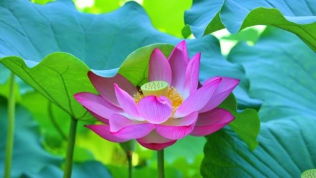 日常に使われる仏教用語のスピリチュアルな意味