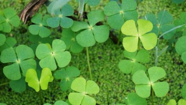 運気を変えたい時に人生の光を見出す方法