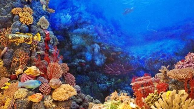 ハワイ語のことわざに込められたスピリチュアルな開運メッセージ