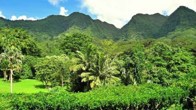 ハワイ語のことわざに込められたスピリチュアルな開運メッセージ