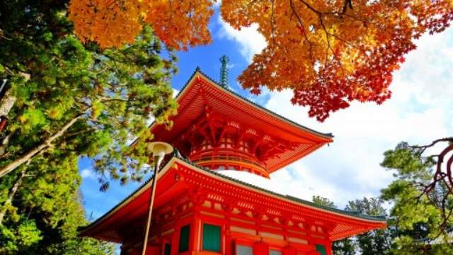 空海の七不思議に秘められたスピリチュアルな意味と神秘