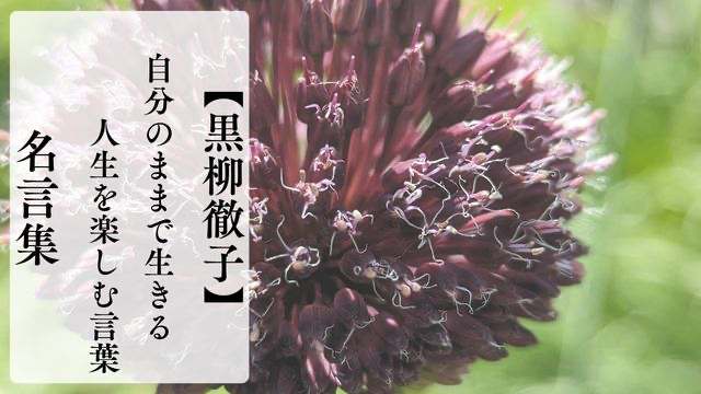 黒柳徹子の名言集｜自分のままで生きる人生を楽しむ言葉